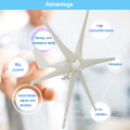 Small Home S-600w Wind Turbine Generator